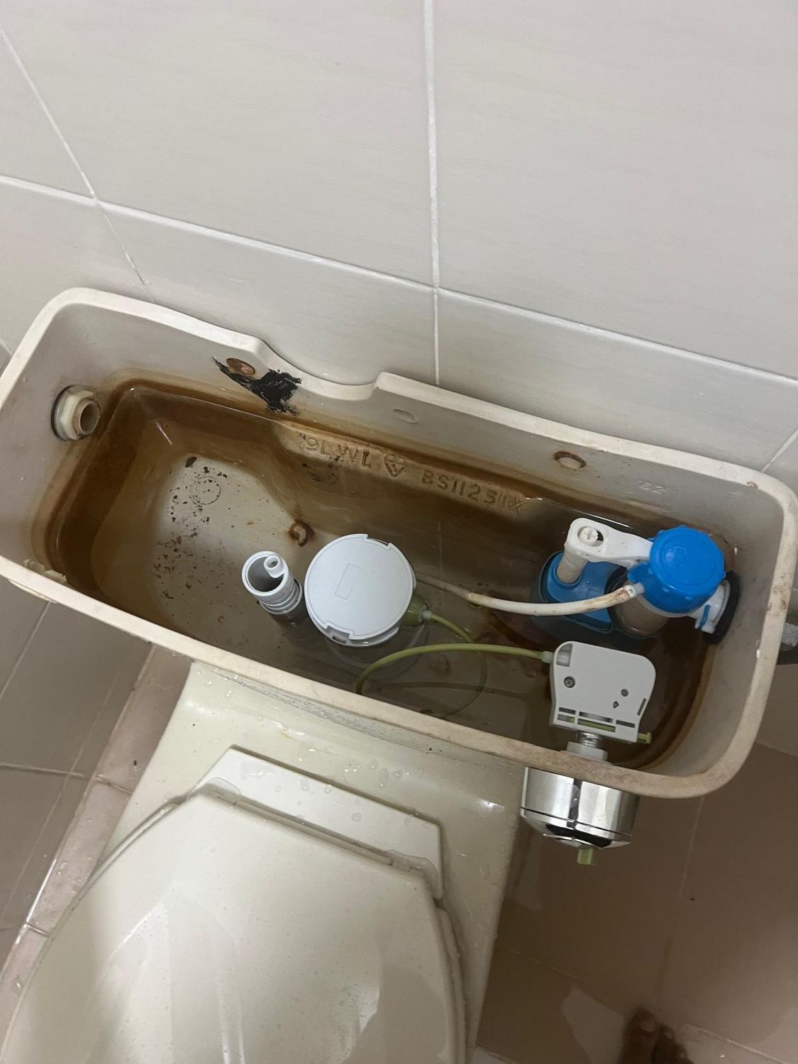 Cistern flush and inlet valve replacement